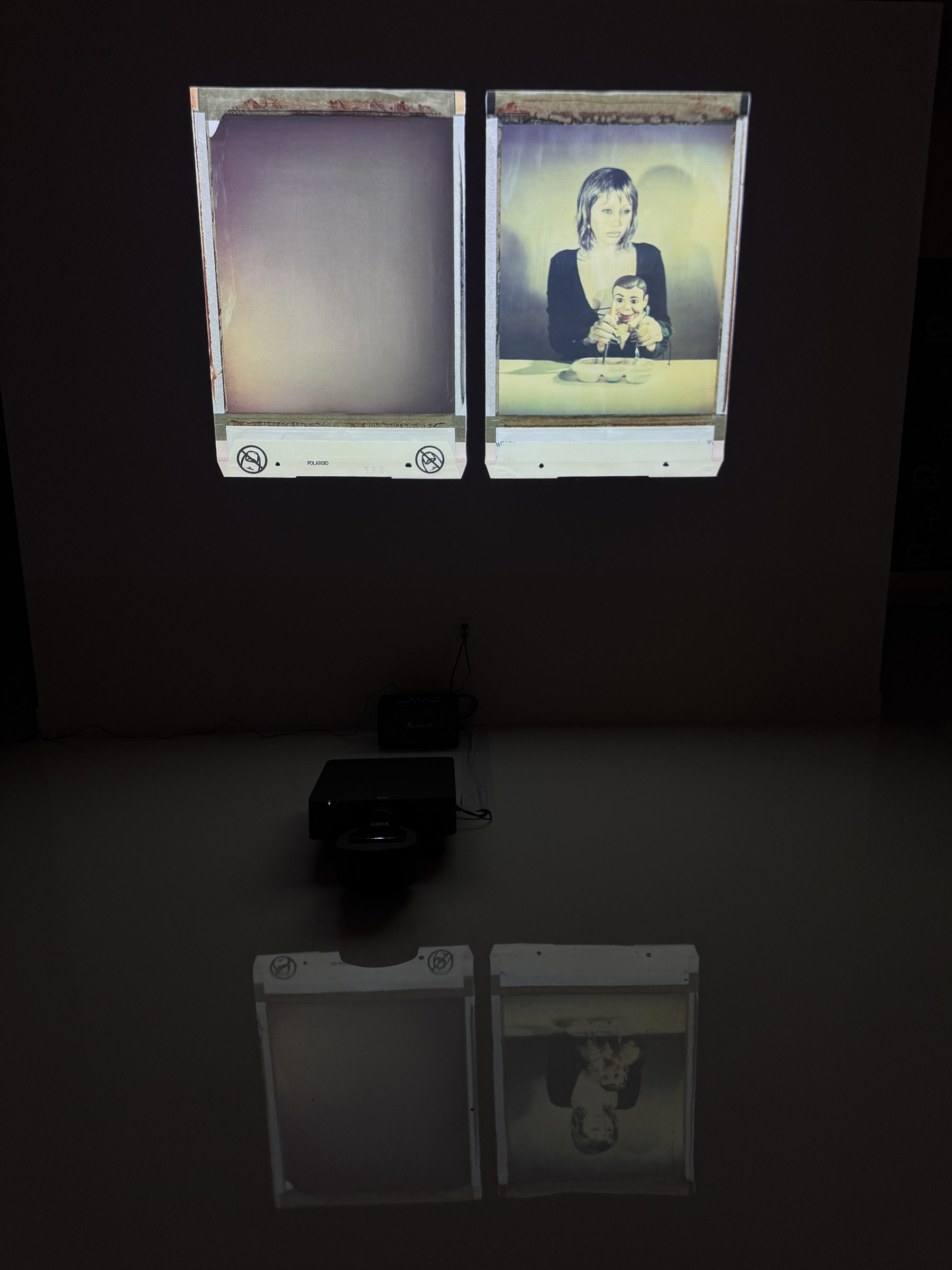 Cameron Postforoosh large-format Polaroid work projected at Encore Wynwood